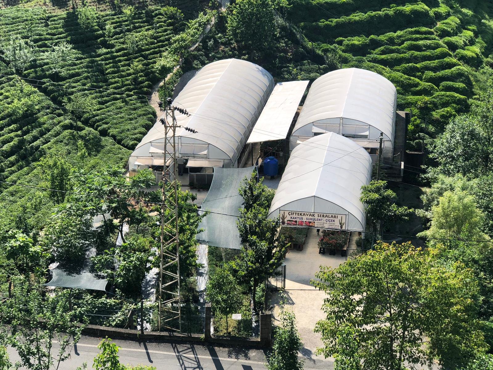 Rize'de Kendi Arazisine Sera Kurdu Hüseyin Dilsiz Girişimciliği İle Örnek Oluyor