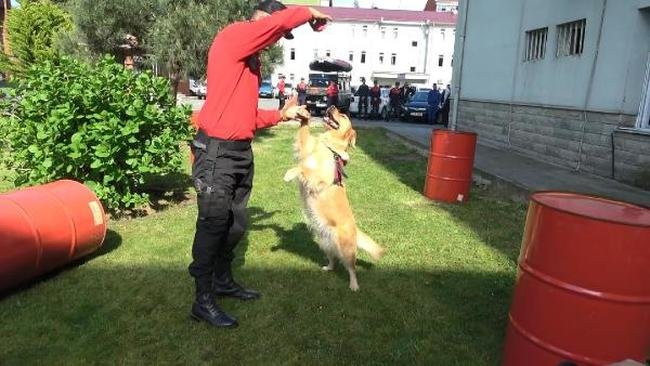 Rize'de JAK timinin dedektör köpekleri iş başında