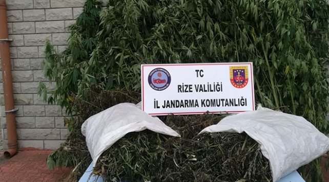 Rize'de uyuşturucu operasyonu