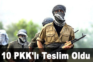 Silopi'de 10 PKK'lı Teslim Oldu
