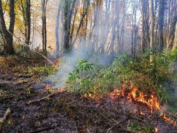 Karadeniz'de 5 ilde 71 noktada yangınlar sürüyor