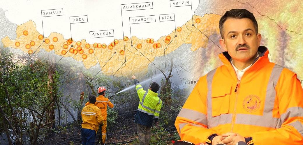BAKAN PAKDEMİRLİ: “KARADENİZ’DE ÇIKAN ORMAN YANGINLARI KONTROL ALTINDA