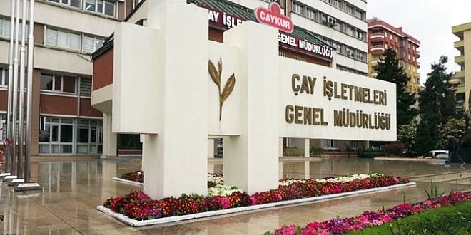 ÇAYKUR KONTENJANI ARTIRDI