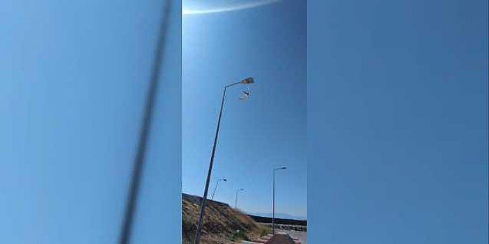 Yere Atılan Maske, Martının Ayağına Takıldı