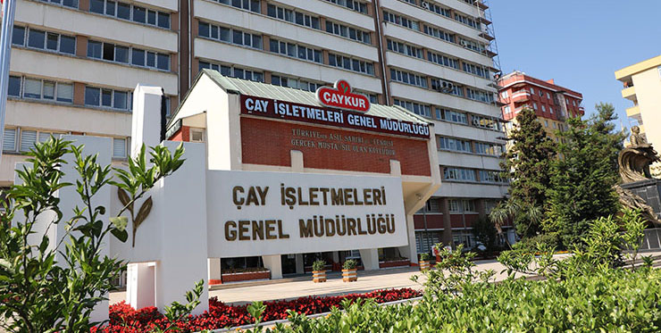 ÇAYKUR, Üçüncü Sürgünü Yarın Açıyor: Kota Ne Kadar?