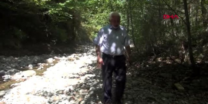 Muhtarın Keşfettiği Şelale İlgi Çekiyor