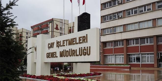 ÇAYKUR, Ağustos Ayı Yaş Çay Bedellerini Ödüyor