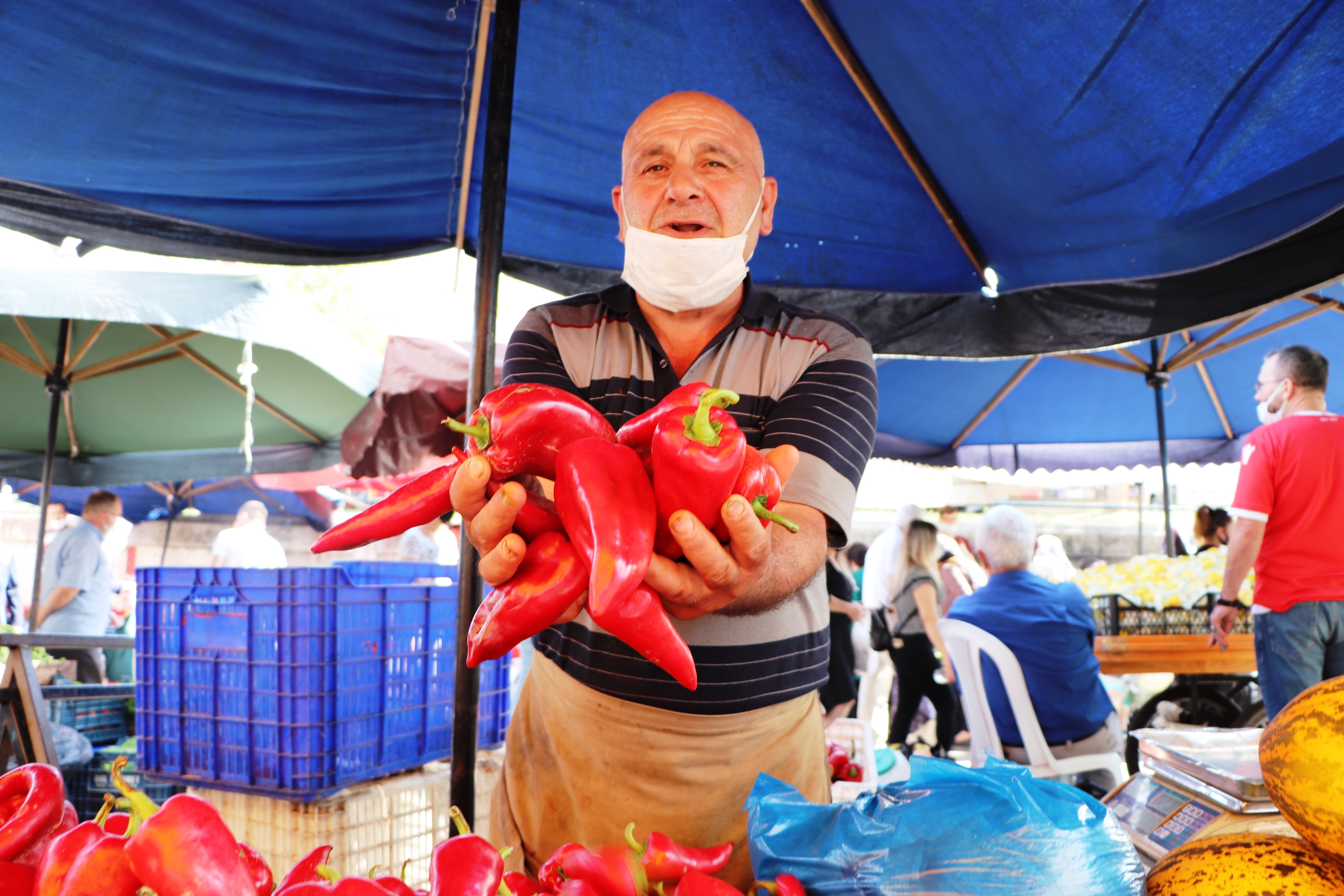 Pazarın Son Yazlık Meyve ve Sebzeleri