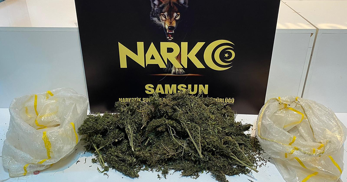 Samsun'da Narkotik Uygulaması: 24 Gözaltı
