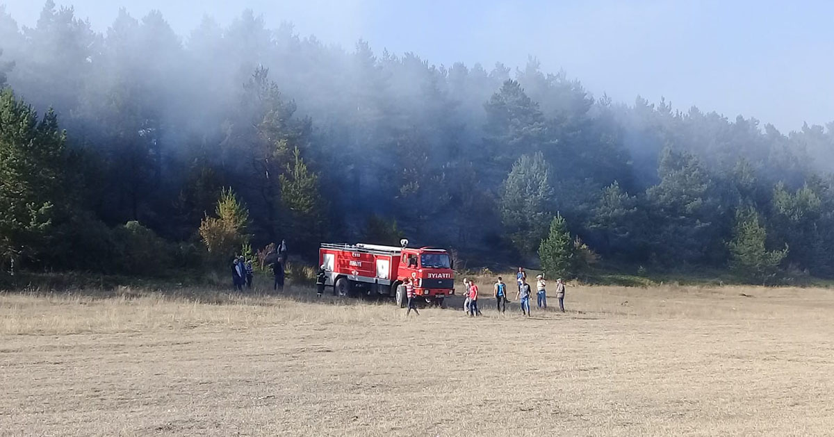 Ordu’da Orman Yangını