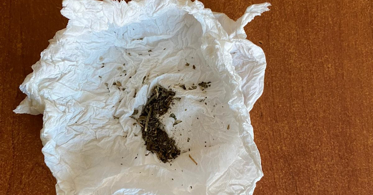 Ordu’da Uyuşturucu Denetimleri: 1 Tutuklama