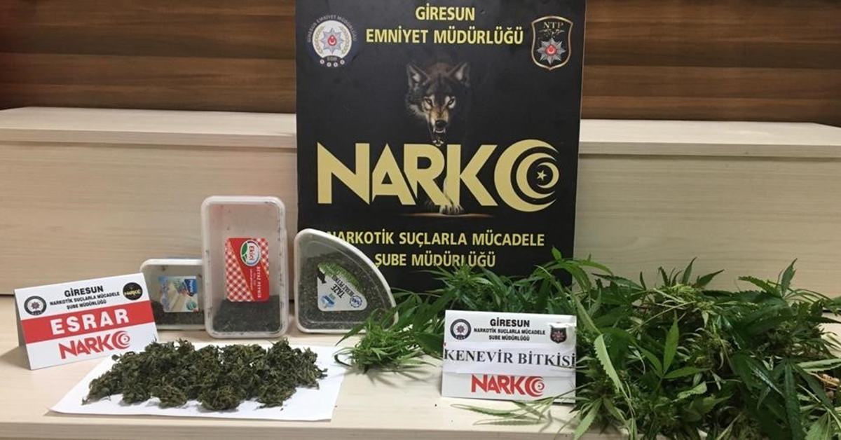 Giresun’da Uyuşturucu Operasyonunda 1 Kişi Tutuklandı