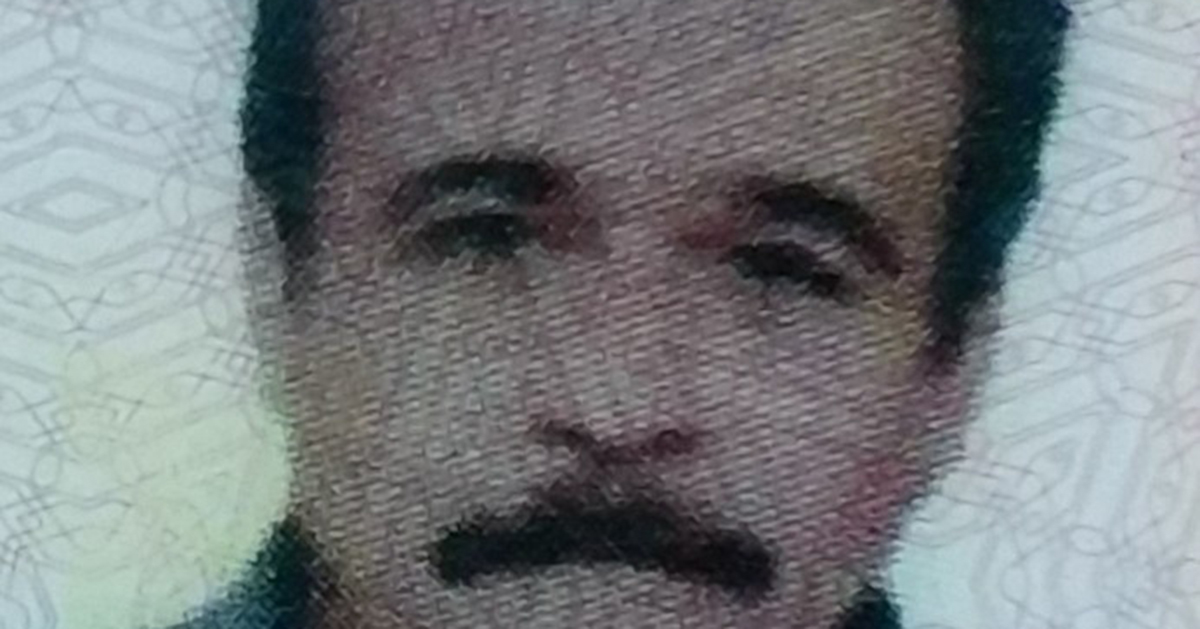 5. Kattan Atlayarak İntihar Etti