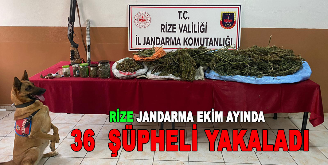 RİZE JANDARMA EKİM AYINDA 36 ŞÜPHELİ YAKALADI