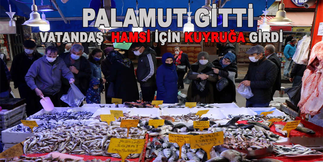 Palamut gitti, vatandaş hamsi için kuyruğa girdi