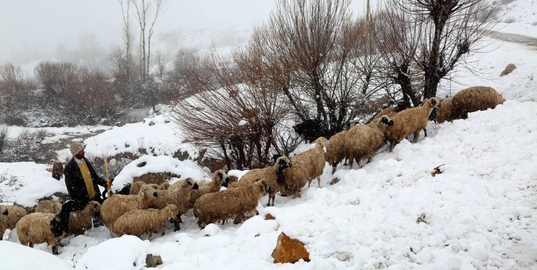 Bayburt’un yüksek kesimlerine kar yağdı