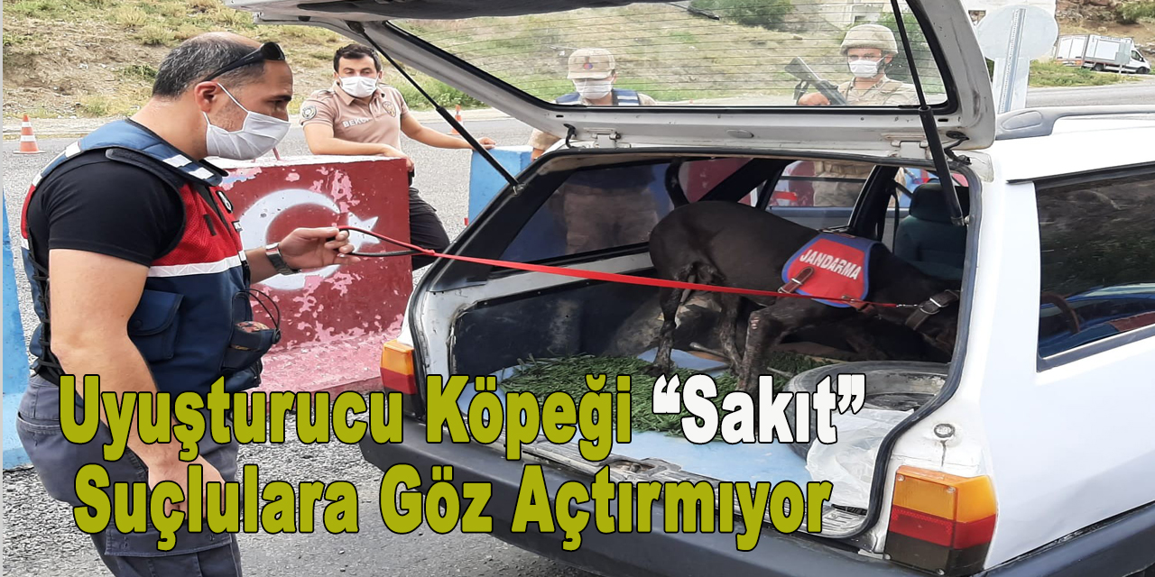 Uyuşturucu köpeği “Sakıt” suçlulara göz açtırmıyor