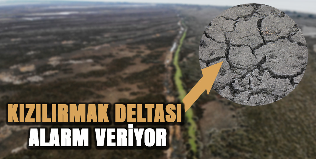 Kızılırmak Deltası Alarm Veriyor
