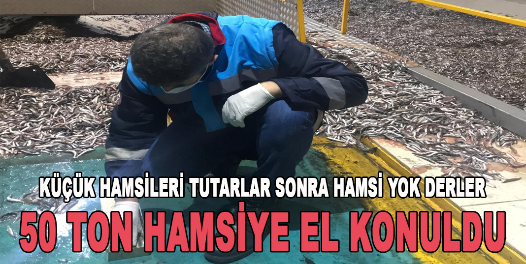 50 TON HAMSİYE EL KONULDU