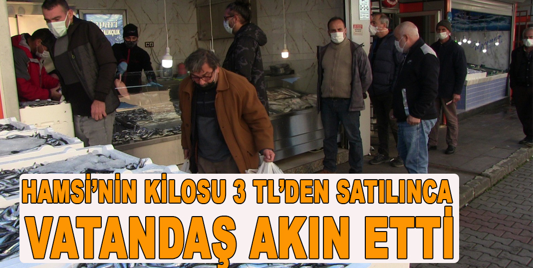 15 liradan satılan hamsinin kilosunun 3 TL'ye düştüğünü duyunca balıkçıya akın ettiler