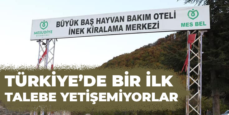 Hayvan Bakım Oteli Büyük İlgi Gördü