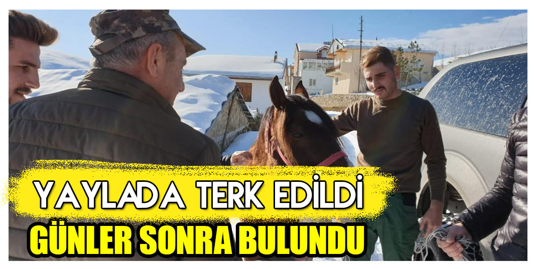 Yaylada Terk Edildi Günler Sonra bulundu
