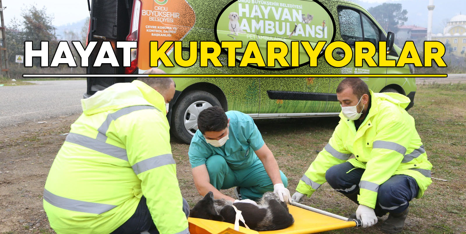 Hayvan ambulansı hayat kurtarıyor