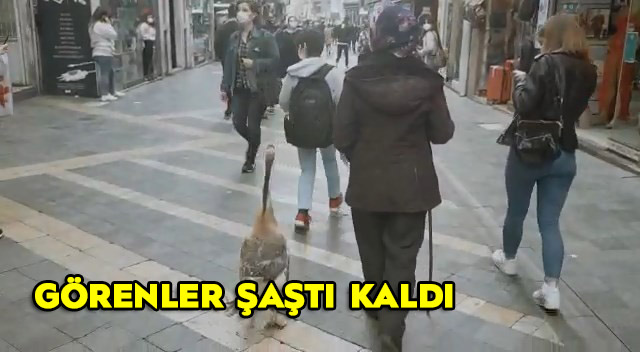 Sokakta görenler dönüp bir daha baktı