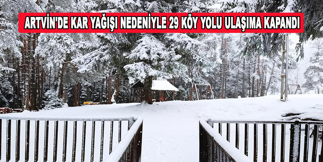 Artvin'de kar yağışı nedeniyle 29 köy yolu ulaşıma kapandı