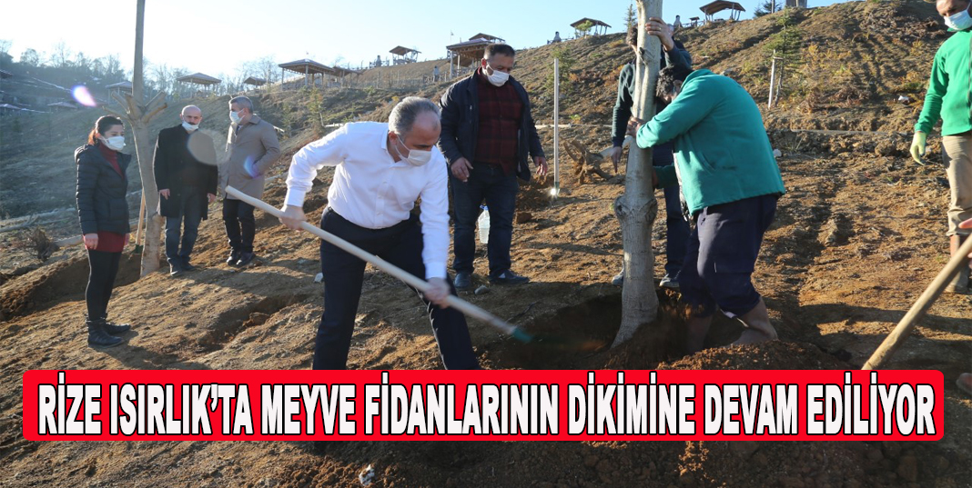 RİZE ISIRLIK’TA MEYVE FİDANLARININ DİKİMİNE DEVAM EDİLİYOR