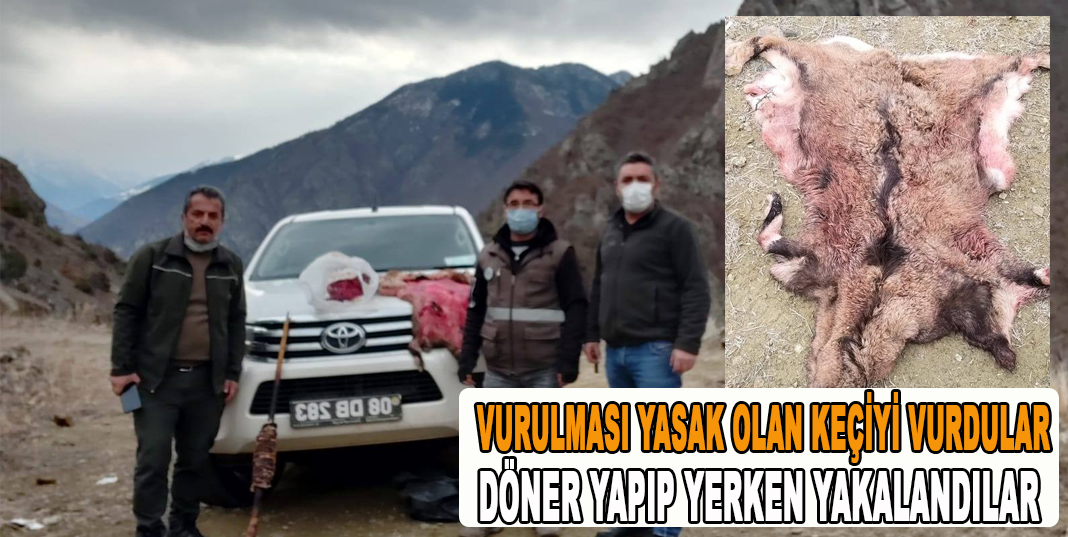 VURULMASI YASAK OLAN KEÇİYİ VURDULAR DÖNER YAPIP YERKEN YAKALANDILAR