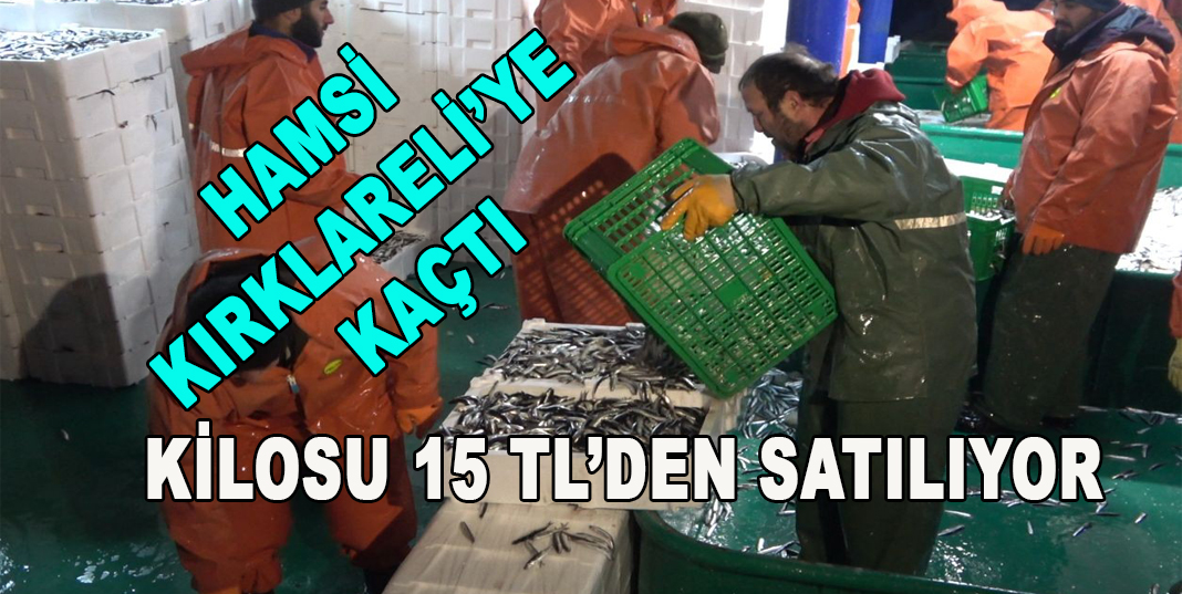 İğneada’da hamsi bereketi: Kilosu 15 liraya satıldı