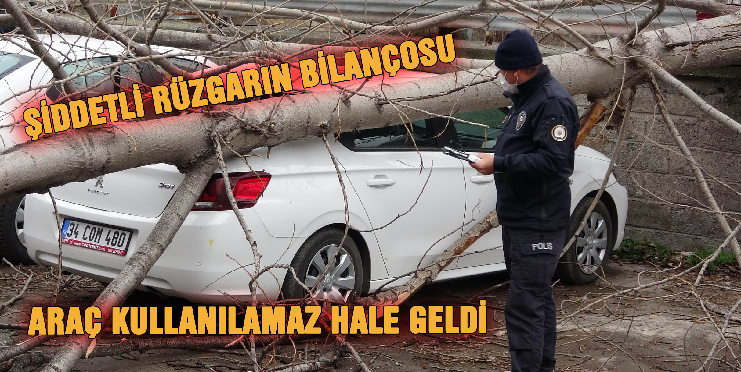 Samsun'da şiddetli rüzgarda kırılan ağaç otomobilin üzerine düştü