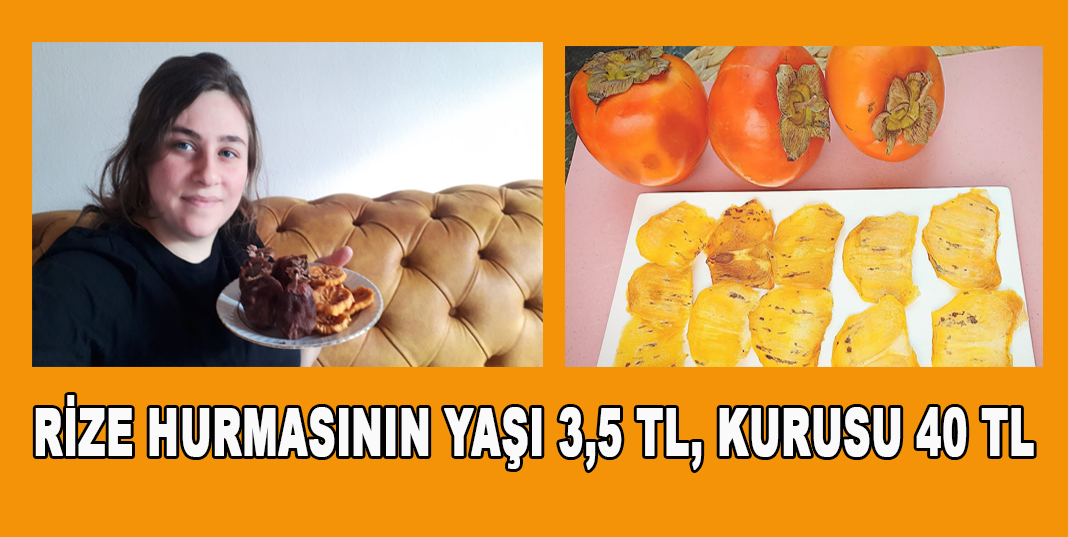 Rize Hurmasının Yaşı 3,5 TL, kurusu 40 TL