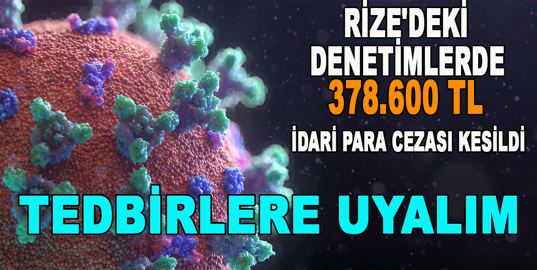 RİZE'DEKİ DENETİMLERDE 378.600 TL İDARİ PARA CEZASI KESİLDİ