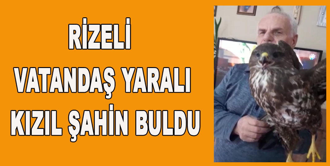 RİZELİ VATANDAŞ YARALI KIZIL ŞAHİN BULDU