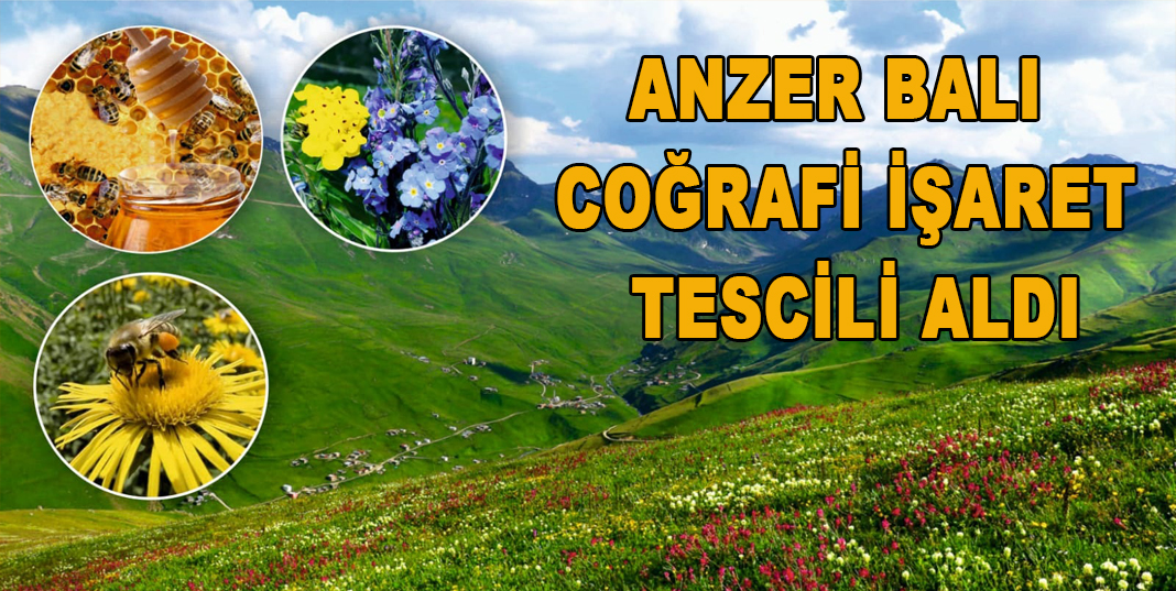 Anzer Balı Coğrafi İşaret Tescili Aldı