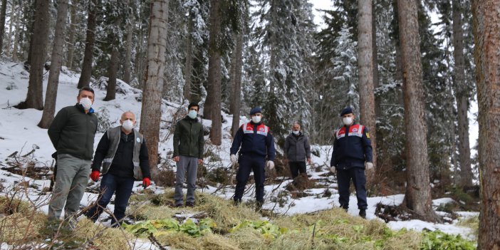 2000 rakımda yaban hayatı için doğaya yem bırakıldı