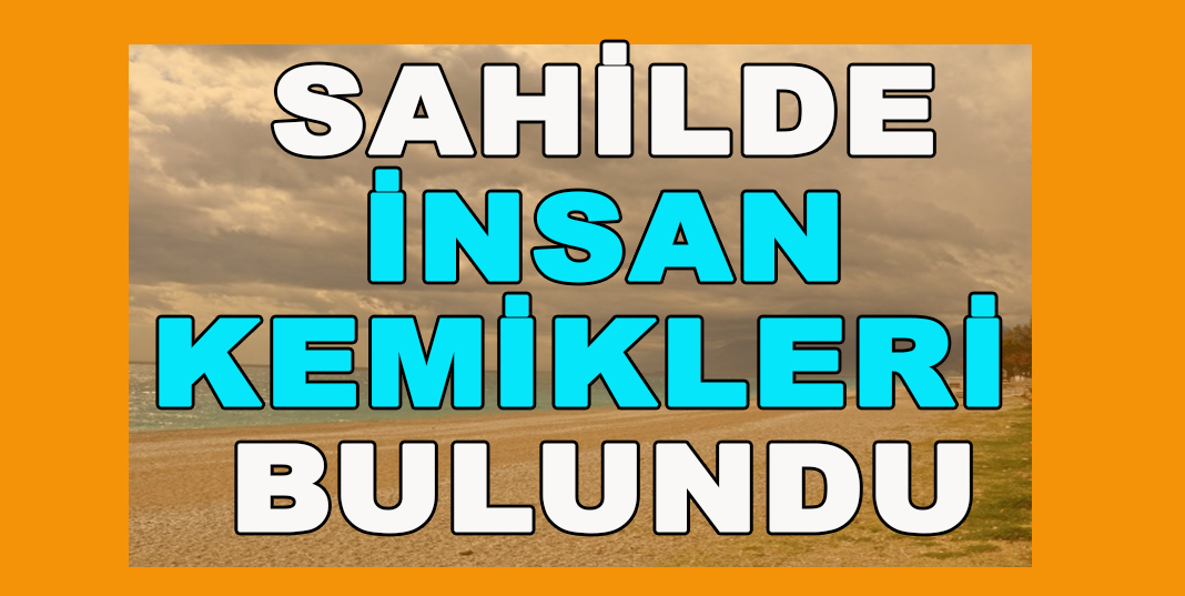 Sahilde İnsan Kemikleri Bulundu