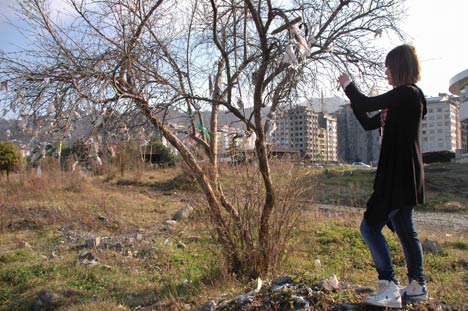 Rize Sahilinde Dilek Ağacı