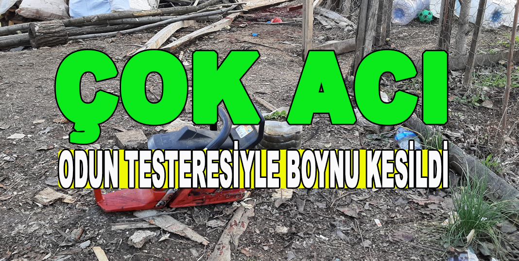 Odun keserken boynundan yaralanan genç hayatını kaybetti