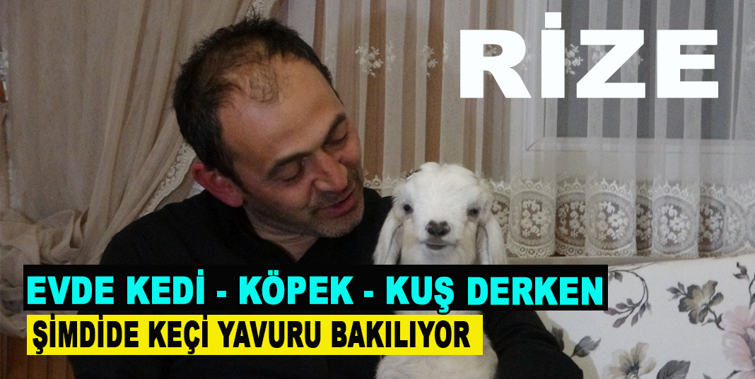 Rize Kendisine hediye edilen keçi yavrusuna evladı gibi bakıyor