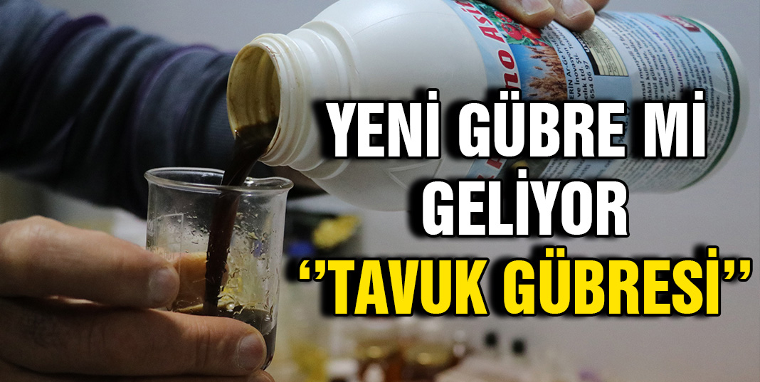 ''Tavuk Gübresi'' verimi arttırdı
