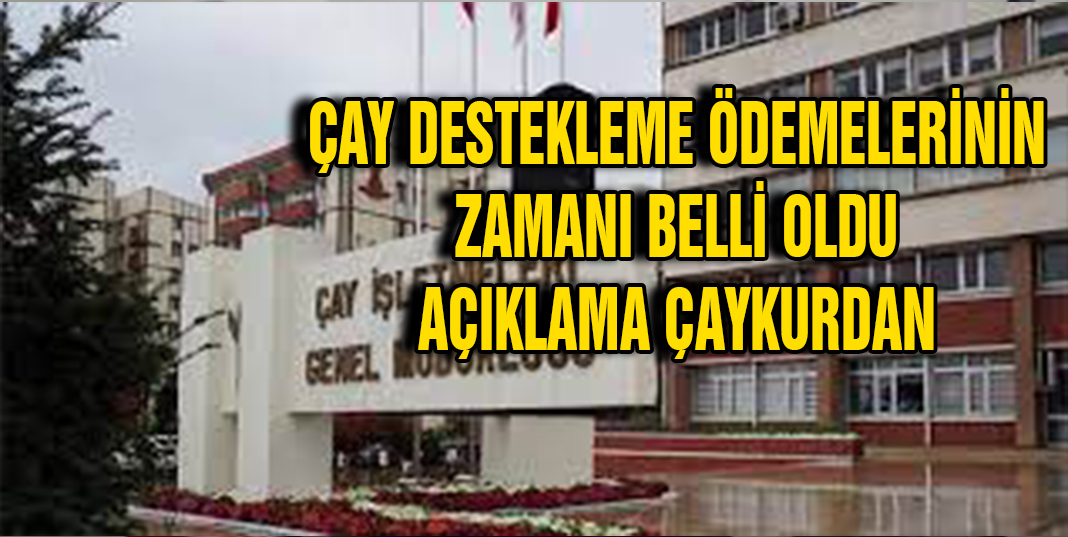 Çay destekleme ödemeleri zamanı belli oldu. Açıklama Çaykur'dan