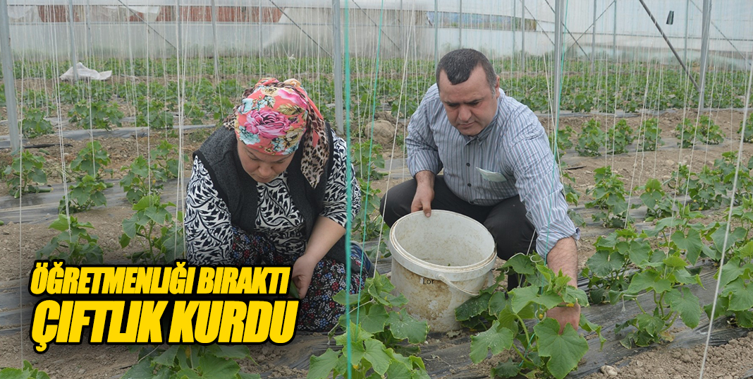 öğretmenliği bıraktı, Çifitlik Kurdu.