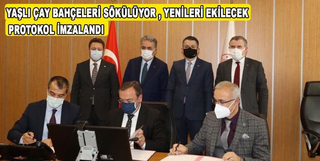 Rize'deki çay bahçelerinin rehabilitasyonu için iş birliği protokolü imzalandı