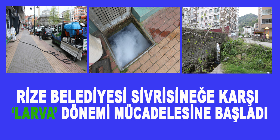 RİZE BELEDİYESİ SİVRİSİNEĞE KARŞI ‘LARVA’ DÖNEMİ MÜCADELESİNE BAŞLADI
