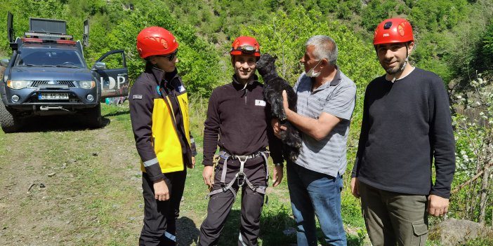 Artvin’de kayalıklardan düşen 2 aylık keçi yavrusu 24 saat sonra kurtarıldı