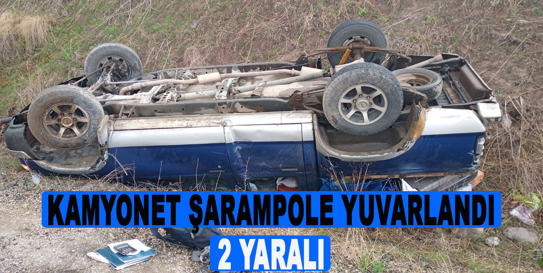 Kamyonet şarampole uçtu