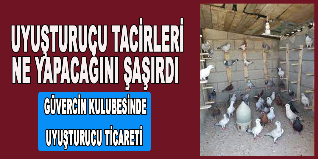 Güvercin kulübesine uyuşturucu operasyonu: 3 gözaltı